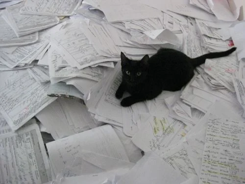 A black cat sitting on a pile of papers
